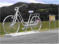 Gr&ouml;sstes Steyr Damenrad