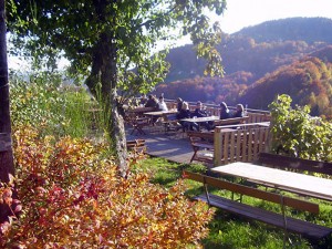 Weingut - Buschenschank Koller vlg. Aldrian