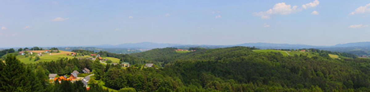 Panorama von Panoramaturm beim Buschenschank Garber