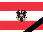 Die neue Parteienf&ouml;rderung ist der Gnadenschuss f&uuml;r mehr Demokratie in &Ouml;sterreich!