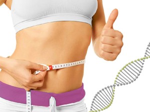 Die Gene und Übergewicht