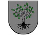 Birkfeld